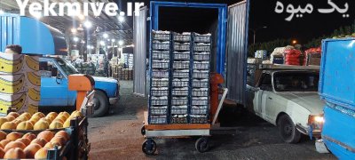 خریدار پرتقال و نارنگی و لیموشیرین در گروه خرید و فروش لیمو شیرین در یکمیوه -عکس2