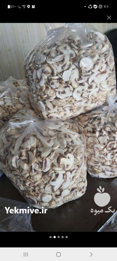 قارچ دکمه ای فله بسته در تهران در گروه خرید و فروش قارچ در یکمیوه -عکس1