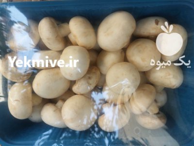 قارچ دکمه ای فله بسته در تهران در گروه خرید و فروش قارچ در یکمیوه -عکس2