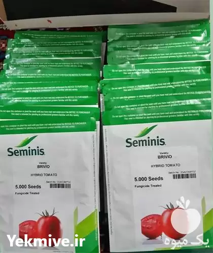 خرید و فروش بذر گوجه فرنگی در گروه خرید و فروش بذر گوجه در یکمیوه -عکس1
