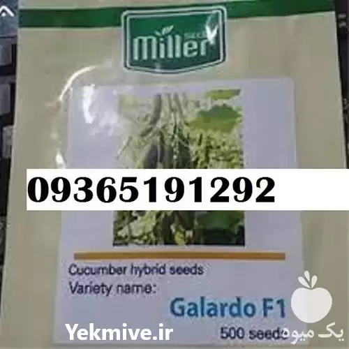 قیمت خرید گالاردو بذر خوب در بوشهر در گروه خرید و فروش بذر خیار در یکمیوه -عکس1
