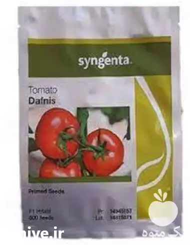 قیمت خرید قیمت بذر گوجه دافنیس در کرمانشاه در گروه خرید و فروش بذر گوجه در یکمیوه -عکس1