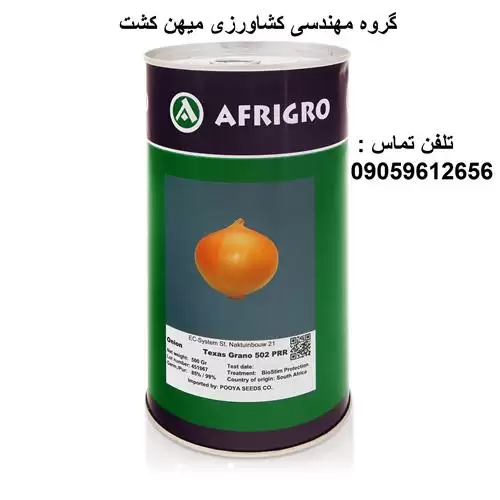 بذر پیاز زرد آفریگرو در اصفهان در گروه خرید و فروش بذر پیاز در یکمیوه -عکس1