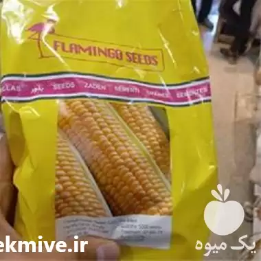 فروش بذر ذرت سمیرا اصل در تبریز در گروه خرید و فروش انواع بذر در یکمیوه -عکس1