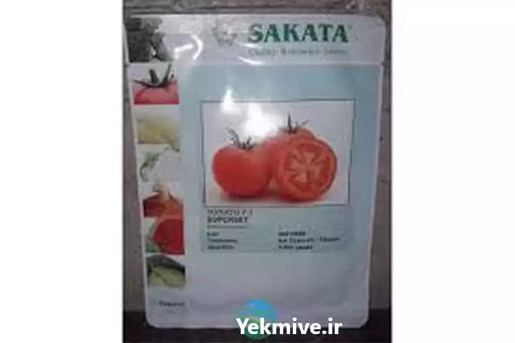 فروش بذر گوجه فرنگی هیبرید ادورا در اهواز در گروه خرید و فروش بذر گوجه در یکمیوه -عکس1