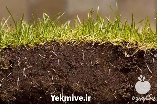 فروش ارسال خاک باغچه کامیونی عمده در تهران در گروه انواع محصولات خاک و تغذیه در یکمیوه -عکس1