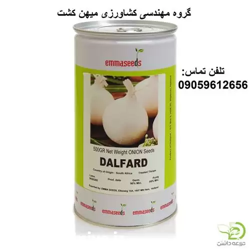 بذر پیاز سفید دلفارد در گروه مهندس کشاورزی در یکمیوه -عکس1