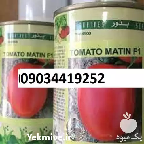 گوجه فرنگی متین پر فروش اصل در زاهدان در گروه خرید و فروش گوجه فرنگی در یکمیوه -عکس1