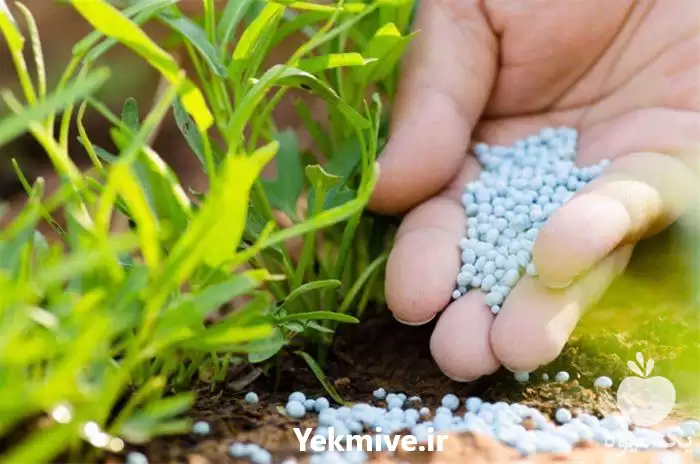 فروش کود npk 202020 در تهران در گروه خرید و فروش انواع کود کشاورزی در یکمیوه -عکس1