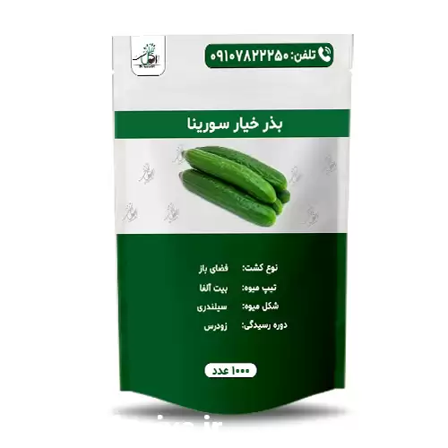فروش عمده بذر خیار سورینا در کرج در گروه خرید و فروش بذر خیار در یکمیوه -عکس1