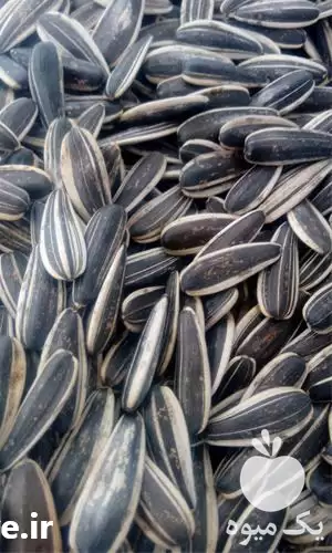 فروش بذر اصلاح شده تخمه کانادایی در ارومیه در گروه خرید و فروش بذر اصلاح شده در یکمیوه -عکس1