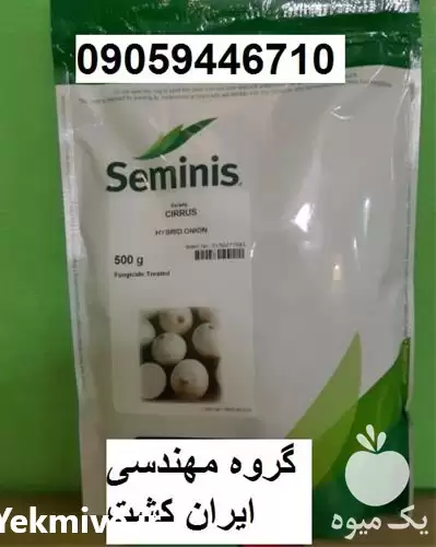 قیمت خرید بذر سایروس هیبرید در کرمان  در گروه خرید و فروش پیاز در یکمیوه -عکس1