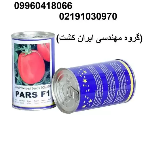فروش بذر گوجه فرنگی پارس F 1 در اهواز در گروه خرید و فروش بذر گوجه در یکمیوه -عکس1