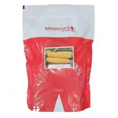 فروش بذر ذرت لیندا در تبریز در گروه خرید و فروش بذر ذرت در یکمیوه -عکس1