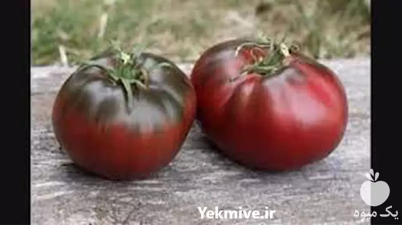 فروش معرفی گوجه فرنگی پل رابسون در گروه خرید و فروش گوجه فرنگی در یکمیوه -عکس1