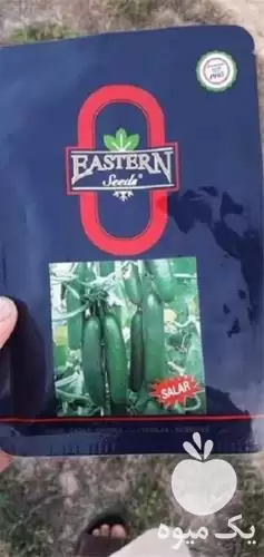 قیمت خرید بذر آدرین سالار در هرمز در گروه خرید و فروش بذر خیار در یکمیوه -عکس1