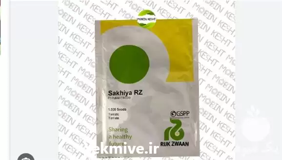 قیمت خرید بذر گوجه فرنگی گلخانه در ارومیه در گروه خرید و فروش بذر گوجه در یکمیوه -عکس1
