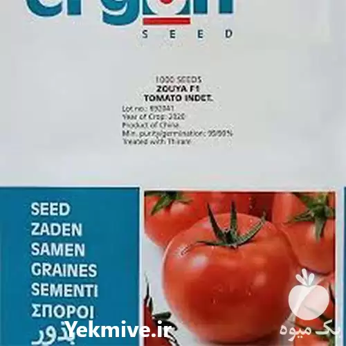 قیمت خرید بذر گوجه فرنگی ارگون در سمنان در گروه خرید و فروش بذر گوجه در یکمیوه -عکس1