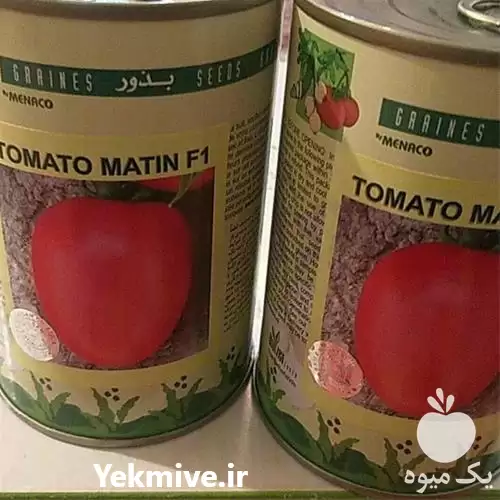 فروش بذر گوجه فرنگی متین f 1 در اهواز در گروه خرید و فروش گوجه فرنگی در یکمیوه -عکس1