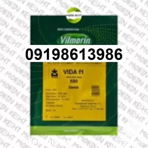 پخش فروش بذر خیار ویدا پر در گروه خرید و فروش بذر خیار در یکمیوه -عکس1