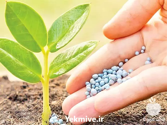 تولید و فروش کود شیمیایی در تهران در گروه خرید و فروش کود شیمیایی در یکمیوه -عکس1