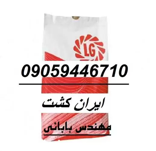 قیمت خرید بذر ذرت الجی در اهواز در گروه خرید و فروش بذر ذرت در یکمیوه -عکس1