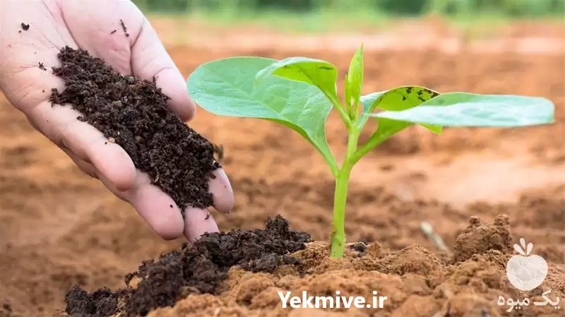 فروش کود هوموس در تهران در گروه خرید و فروش کود شیمیایی در یکمیوه -عکس1