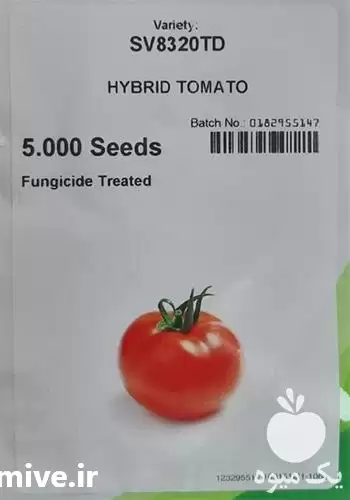 فروش بذر گوجه فرنگی هیبرید 8320 در مشهد در گروه خرید و فروش گوجه فرنگی در یکمیوه -عکس1