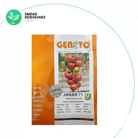 فروش بوته گوجه فرنگی هیبرید جانان در تبریز در گروه خرید و فروش نشا در یکمیوه -عکس1