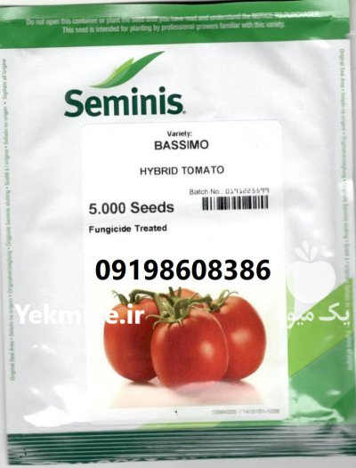 بذر گوجه فرنگی باسیمو پر فروش در اصفهان در گروه خرید و فروش بذر گوجه در یکمیوه -عکس1