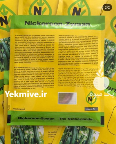 فروش بذر خیار گلخانه ای کیهان در شیراز در گروه خرید و فروش بذر خیار در یکمیوه -عکس1