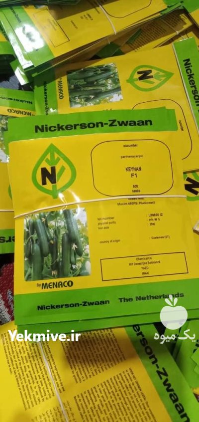 قیمت خرید بذر خیار کیهان گلخانه در گروه خرید و فروش بذر خیار در یکمیوه -عکس1