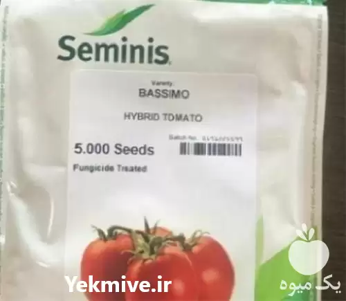 فروش بذر گوجه فرنگی باسیمو در گروه خرید و فروش بذر گوجه در یکمیوه -عکس1