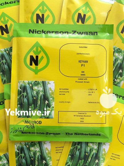 فروش بذر خیار گلخانه ای کیهان در گروه خرید و فروش بذر خیار در یکمیوه -عکس1
