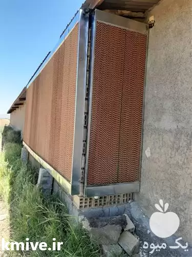 فروش قیمت پد سلولزی و پوشال در ارومیه در گروه خرید و فروش تجهیزات گلخانه در یکمیوه -عکس1