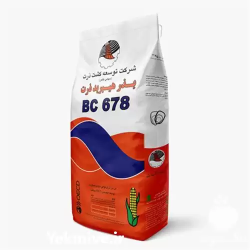 فروش بذر ذرت هیبرید سینگل کراس در ارومیه در گروه خرید و فروش بذر ذرت در یکمیوه -عکس1