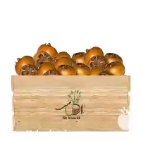 فروش عمده نهال ازگیل پیوندی در تبریز در گروه خرید و فروش نهال در یکمیوه