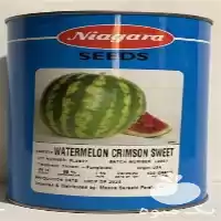 قیمت خرید قیمت بذر هندوانه نیاگارا در همدان در گروه خرید و فروش بذر هندوانه در یکمیوه