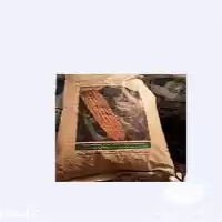 فروش بذر ذرت 704 مغان در ارومیه در گروه خرید و فروش بذر ذرت در یکمیوه