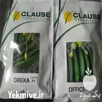 قیمت خرید قیمت بذر خیار آفیسر در گروه خرید و فروش بذر خیار در یکمیوه