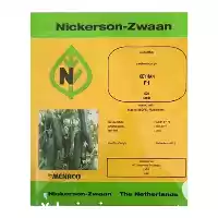 بذر خیار کیهان در هرمز در گروه خرید و فروش بذر خیار در یکمیوه