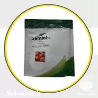 قیمت خرید بذر پیاز داستر سیمینس در گروه خرید و فروش بذر پیاز در یکمیوه