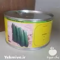 فروش بذر خیار سوپرینا در گروه خرید و فروش بذر خیار در یکمیوه