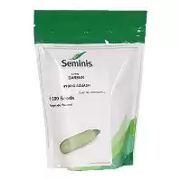 فروش بذر کدو سبز هیبرید دارین در مشهد در گروه خرید و فروش بذر کدو در یکمیوه