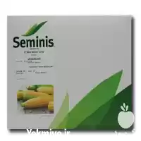 فروش بذر ذرت مسنجر شیرین اصل در همدان در گروه خرید و فروش بذر ذرت در یکمیوه