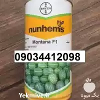 قیمت خرید پخش بذر هندوانه مونتانا در گروه خرید و فروش بذر هندوانه در یکمیوه