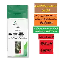 قیمت خرید بذر هندوانه ب 32 در گروه خرید و فروش بذر هندوانه در یکمیوه