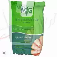 قیمت خرید بذر ذرت ال جی در ارومیه در گروه خرید و فروش بذر ذرت در یکمیوه