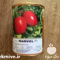 فروش بذر گوجه مارول فروش عمده در تبریز در گروه خرید و فروش بذر گوجه در یکمیوه