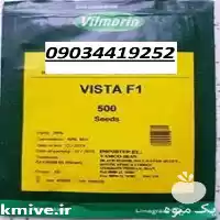 فروش بذر خیار ویستا در ساری در گروه خرید و فروش بذر خیار در یکمیوه